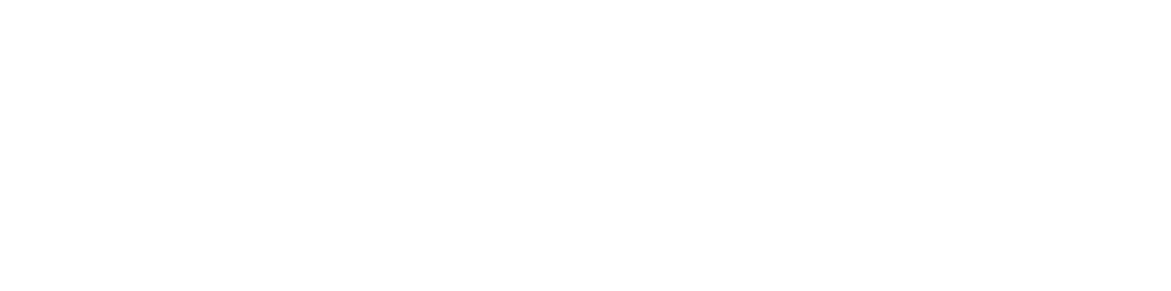 MyBizBOSS